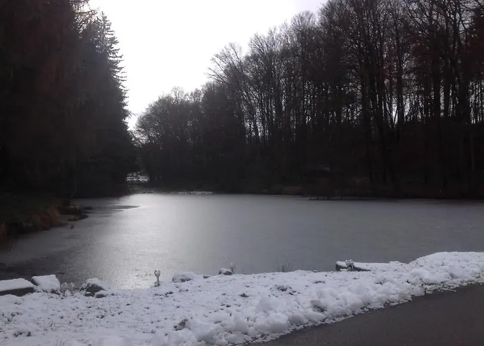 Du Creux De La Goutte Prázdninový dům Xertigny