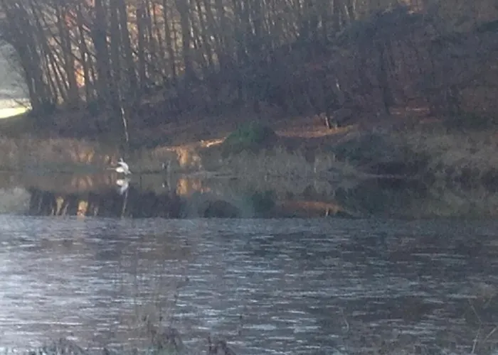 Du Creux De La Goutte *